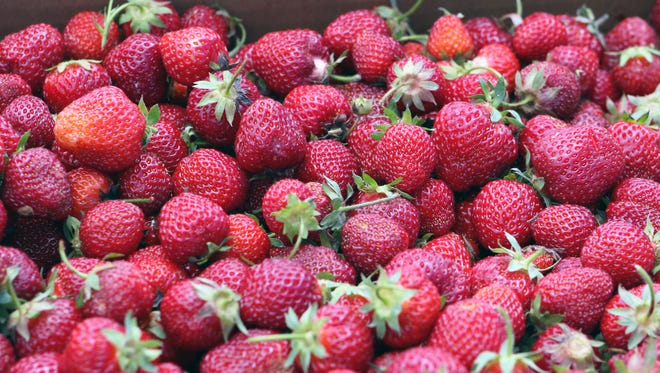 Berries wait to be weighed at Basse's Farm Market in Colgate on June 24.