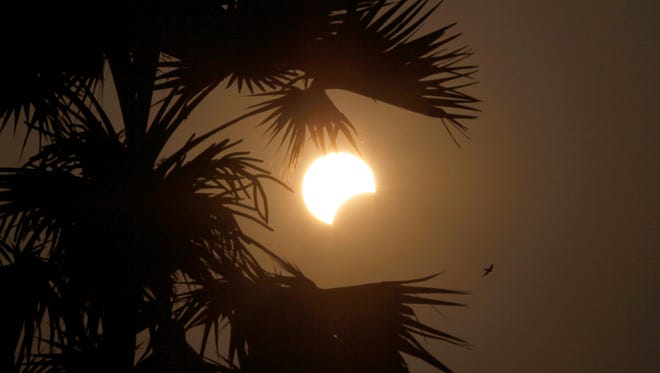 A partial solar eclipse is seen behind a palm tree in Naypytaw, Myanmar.