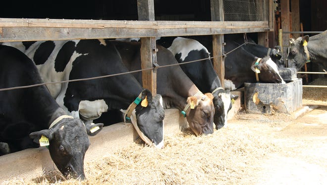 The Wisconsin Department of Natural Resources is investigating a manure spill at a St. Croix County dairy that occurred in late 2016 and was only recently reported after local and state officials received an anonymous tip.