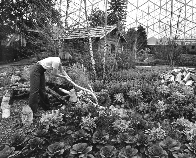 Mitchell park Domes floriculturist Kris Ciombor put some finishing touches on an exhibit in September, 1988.