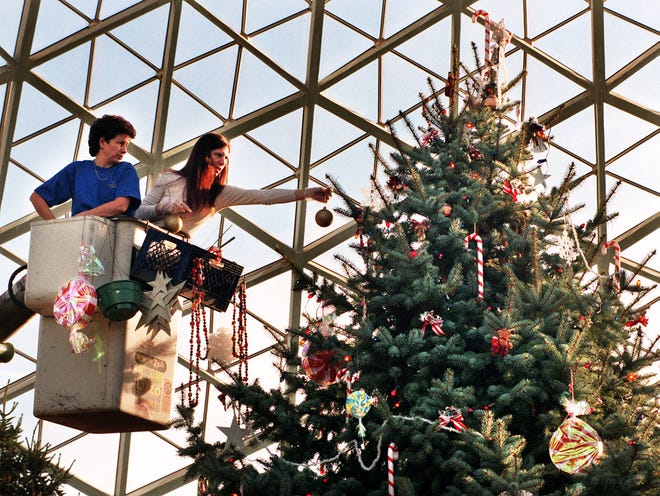 Milwaukee County Parks worker Candida Mestayer (left) operates a boom bucket as artist Lynn Burke places Christmas ornaments on a large evergreen at the Mitchell Park Domes Horticulture Conservatory in November, 1997.